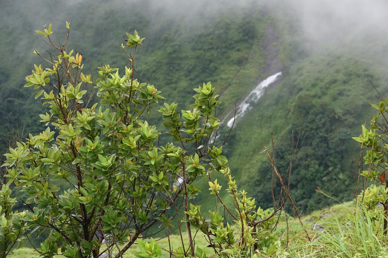 Orion County Hotel Vagamon Bagian luar foto